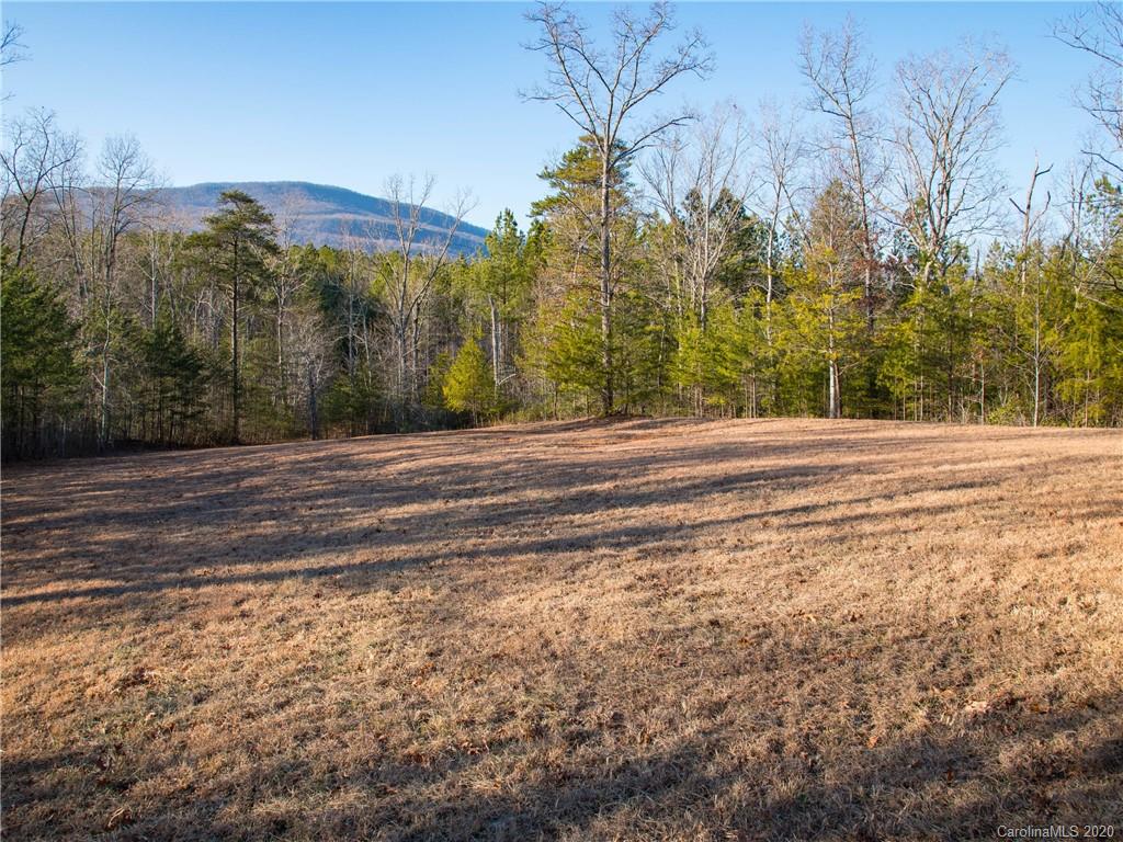 434 North Boundry Road Mill Spring, NC 28756 - Photo 32 of 40