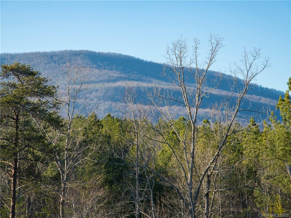 434 North Boundry Road Mill Spring, NC 28756 - Photo 33 of 40