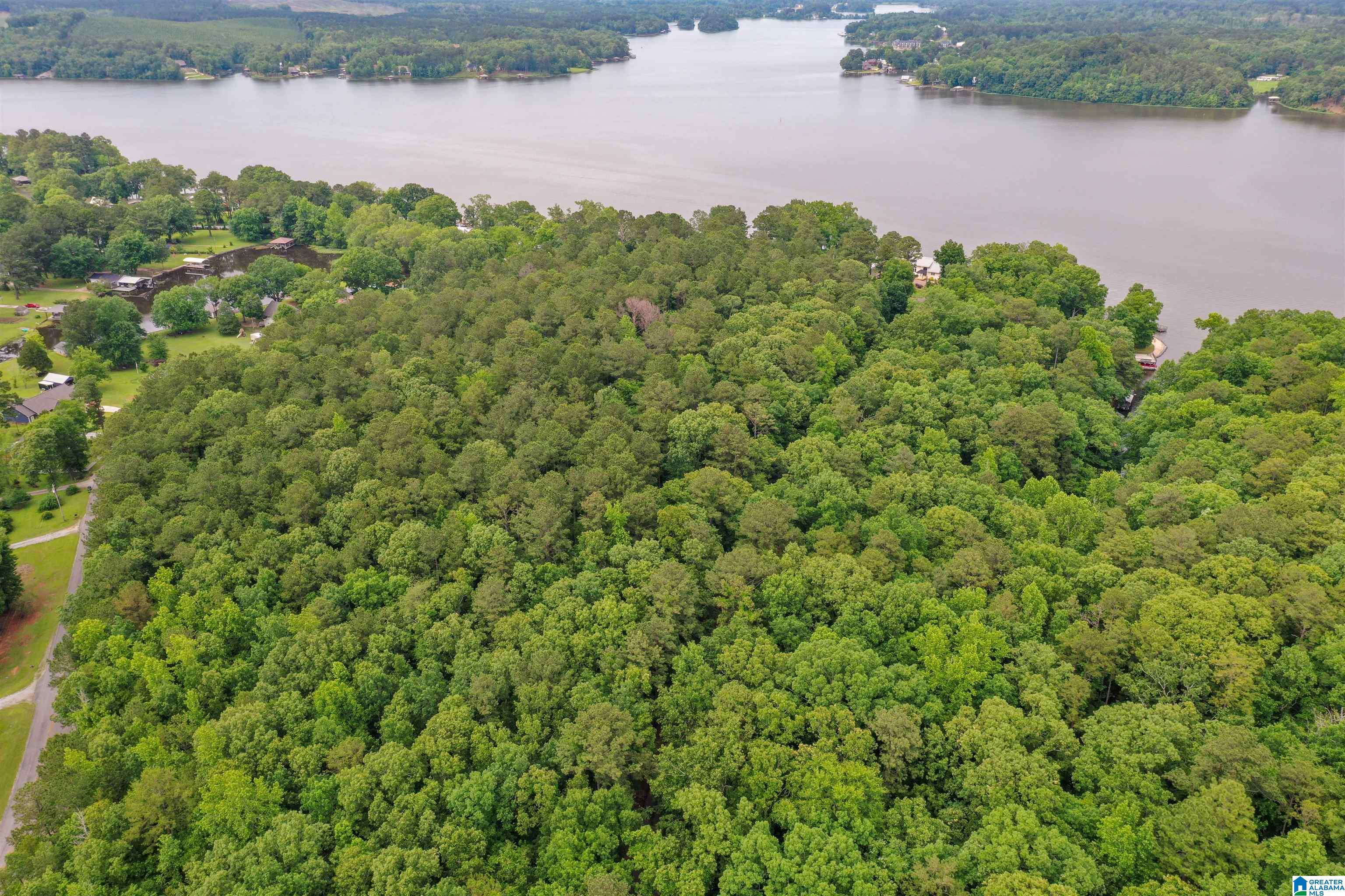 River Drive, Unit 33 Shelby, AL 35143 - Photo 10 of 25