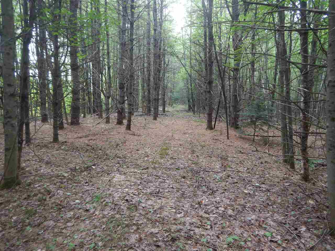 12 Old Bristol Road, Unit R13012B New Hampton, NH 03256 - Photo 1 of 3 Gallery Image 1