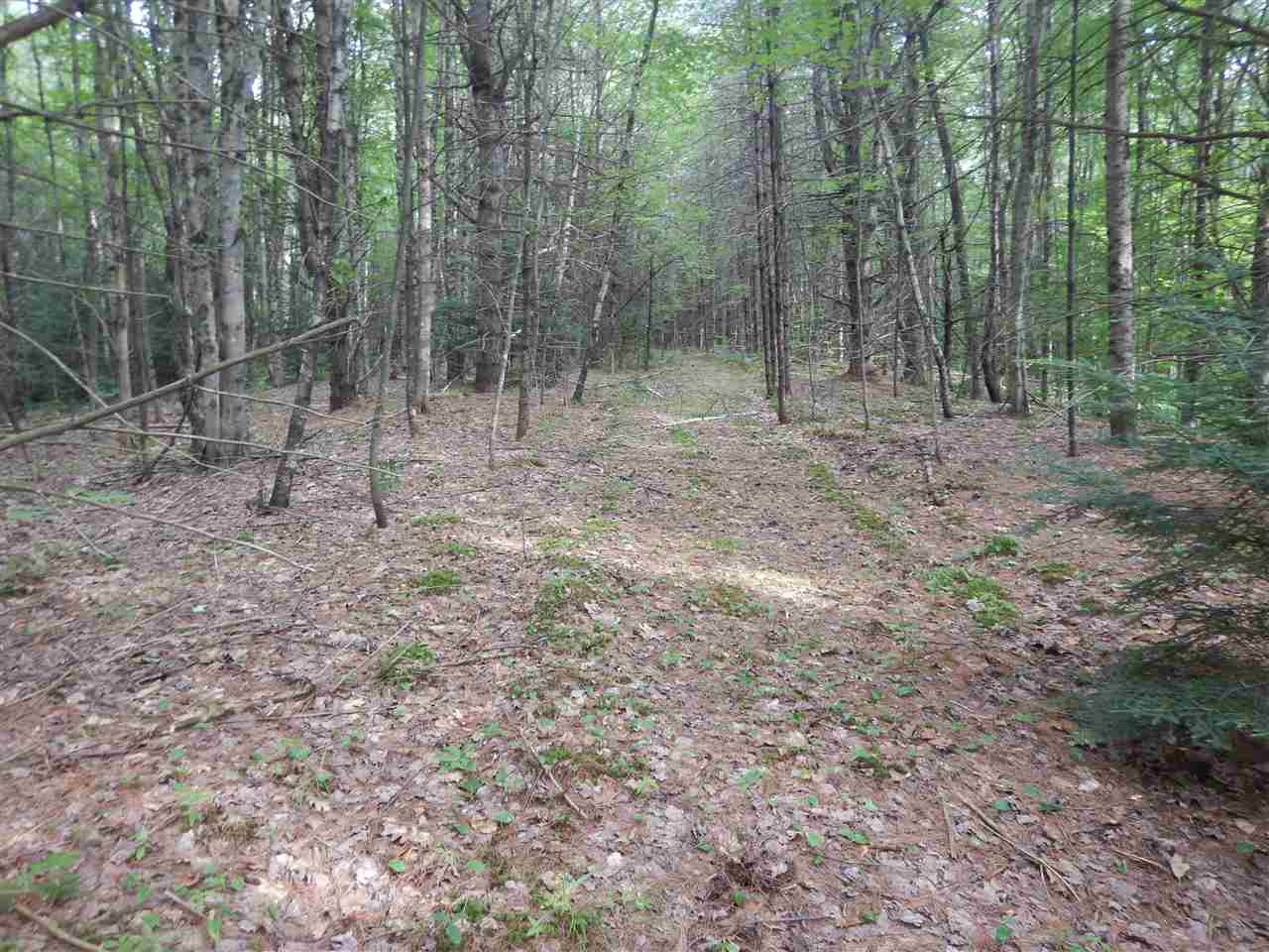 12 Old Bristol Road, Unit R13012B New Hampton, NH 03256 - Photo 2 of 3 Gallery Image 2