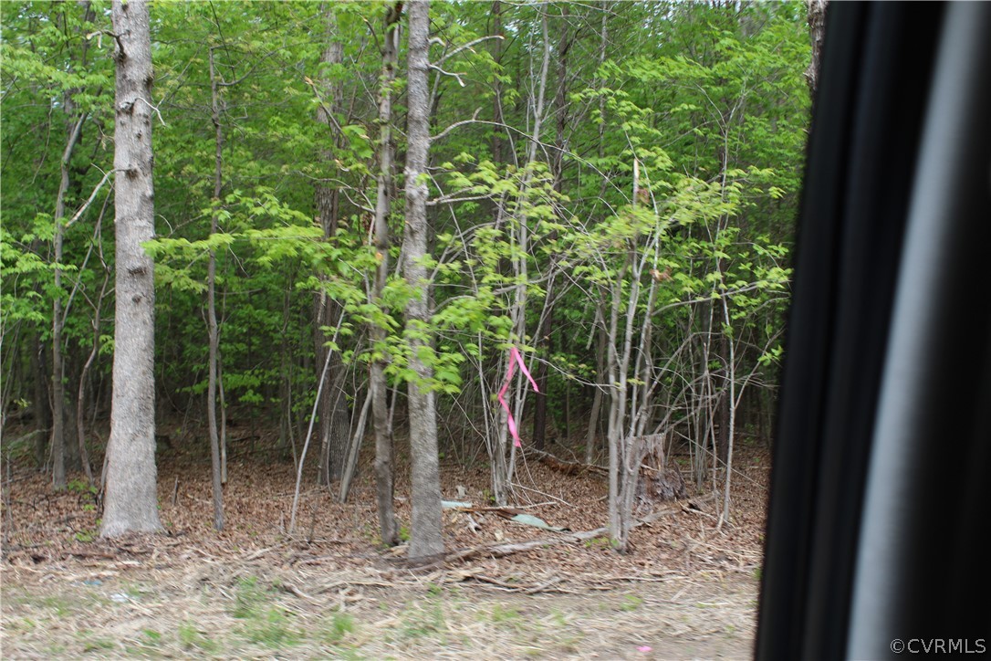 7650 Woodpecker Road Chesterfield, VA 23838 - Photo 2 of 3 newly placed survey tape hangs from tree along Woodpecker Rd.