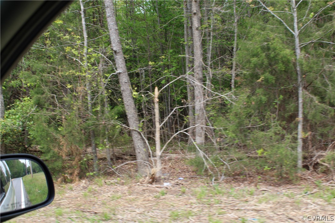 7650 Woodpecker Road Chesterfield, VA 23838 - Photo 3 of 3 looking into the land from Woodpecker