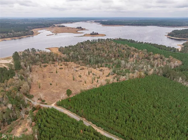 a view of a lake with a mountain