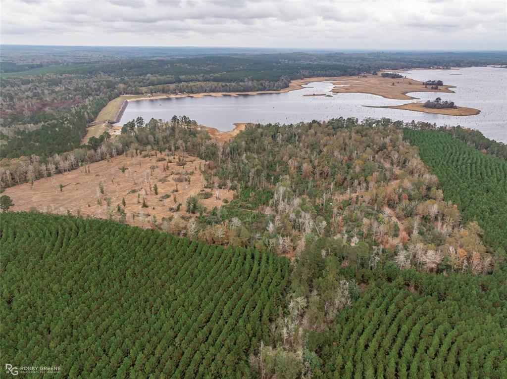 452 Kepler Dam Road Castor, LA 71016 - Photo 13 of 18 a view of a lake with a mountain