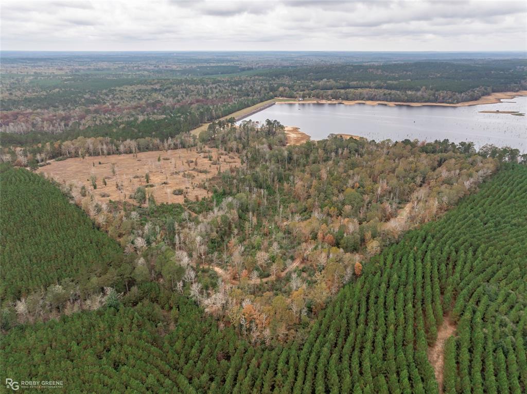 452 Kepler Dam Road Castor, LA 71016 - Photo 15 of 18 a view of a lake with a mountain