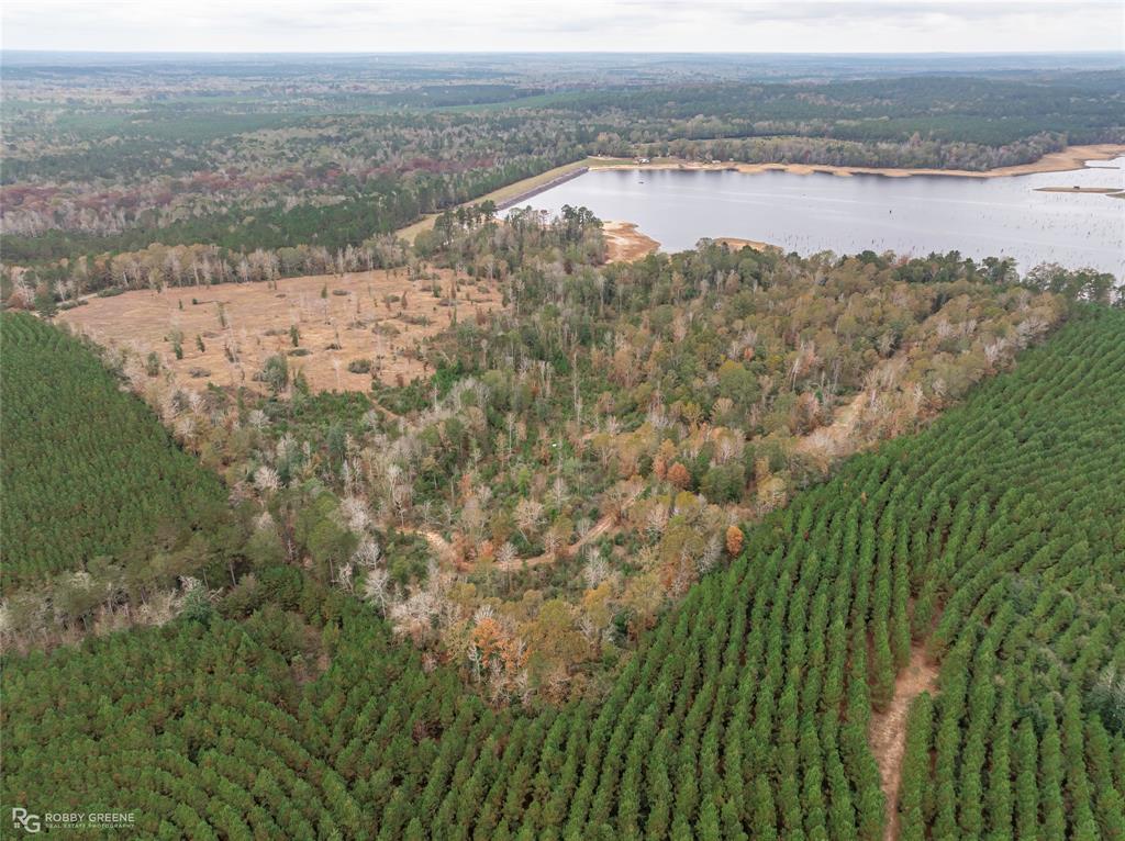 452 Kepler Dam Road Castor, LA 71016 - Photo 16 of 18 a view of lake view and mountain view