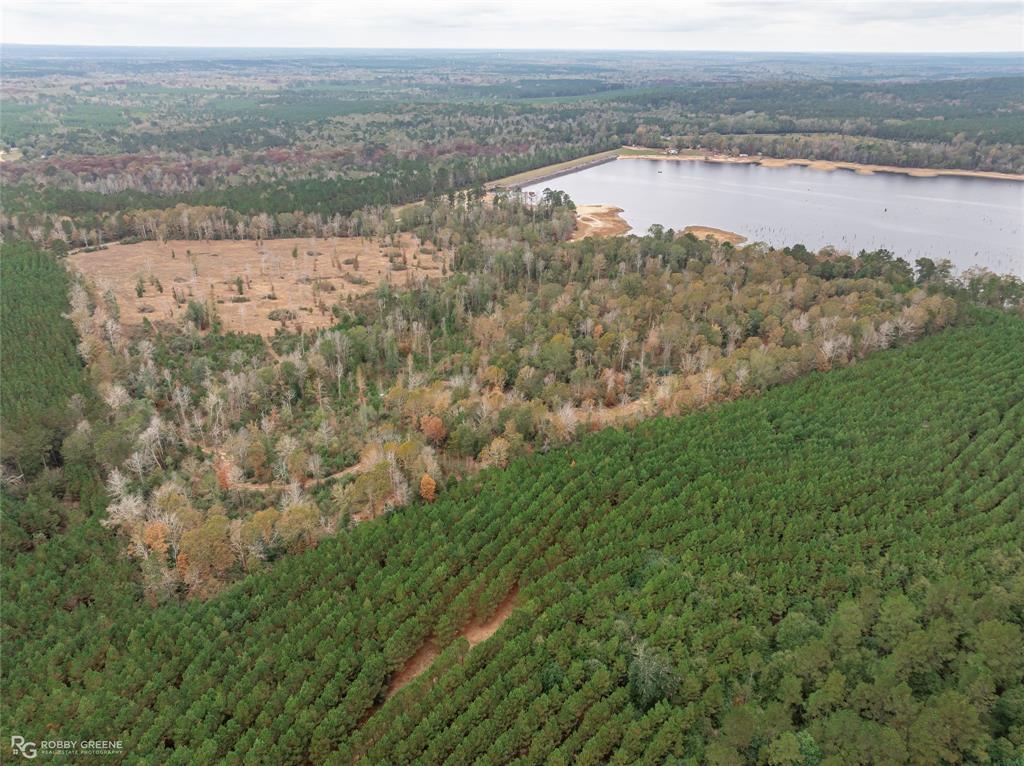 452 Kepler Dam Road Castor, LA 71016 - Photo 17 of 18 a view of lake with mountain