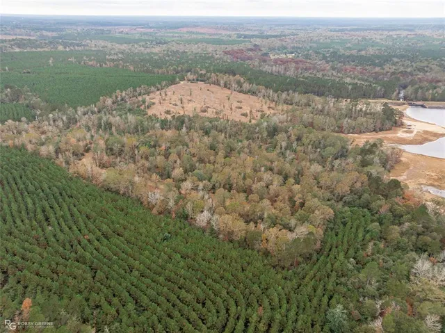 $260,000 | 452 Kepler Dam Road, Castor, LA 71016