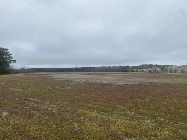 64-72 Parks Farm Road Hallwood, VA 23359 - Photo 1 of 6