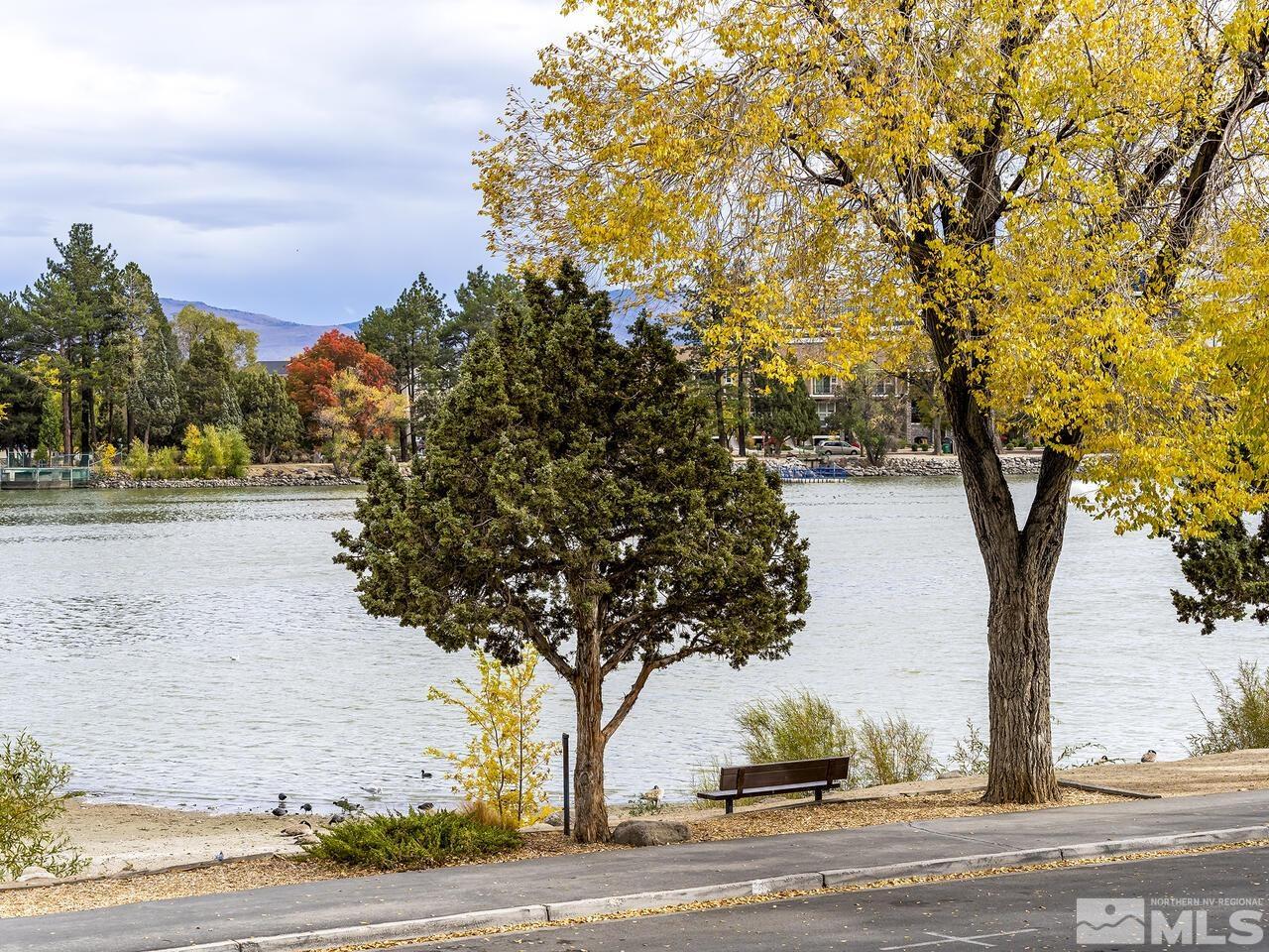 2125 Lakeside Drive Reno, NV 89509 - Photo 12 of 33 a tree in the middle of a yard