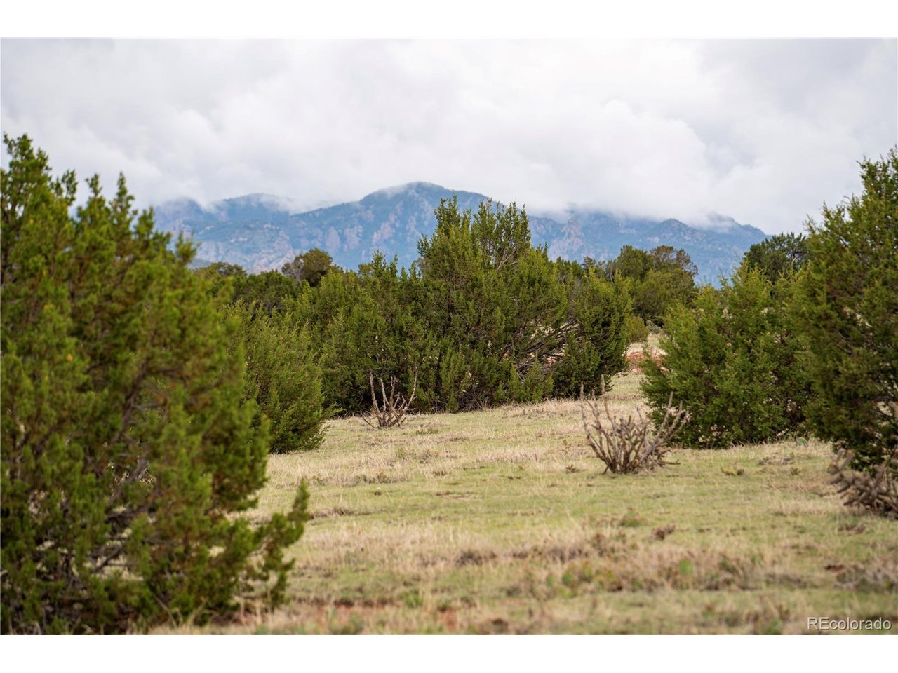 4 Iron Handle Road Penrose, CO 81240 - Photo 6 of 12