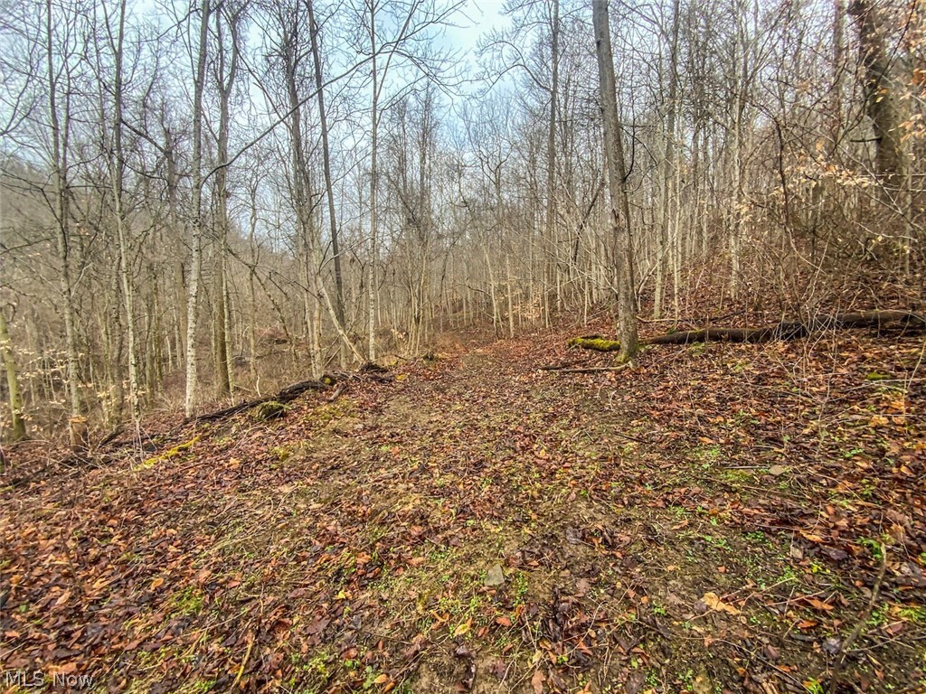 0 New Cut Road Shadyside, OH 43947 - Photo 14 of 31 Gallery Image 14