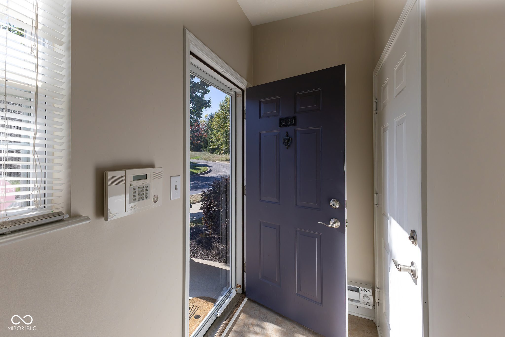 1080 Falcon Ridge Carmel, IN 46280 - Photo 3 of 29