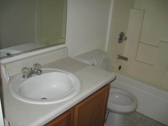 9419 West Eaton Road Phoenix, AZ 85037 - Photo 23 of 27 Hall bath v1