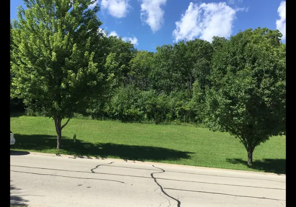 a view of a park from a window