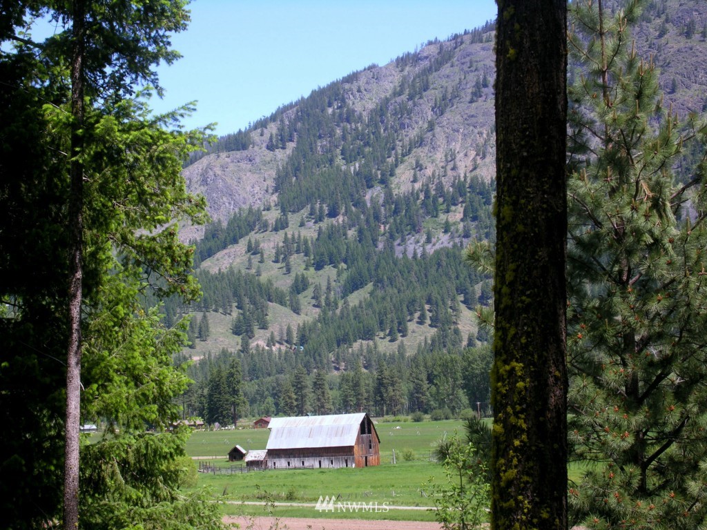 3 Mckinney Mountain Road Winthrop, WA 98862 - Photo 1 of 8 Gallery Image 1