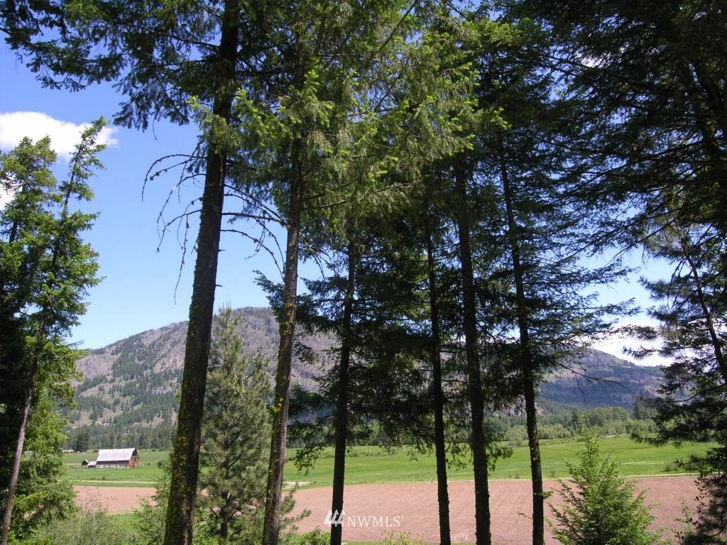 3 Mckinney Mountain Road Winthrop, WA 98862 - Photo 2 of 8 Gallery Image 2