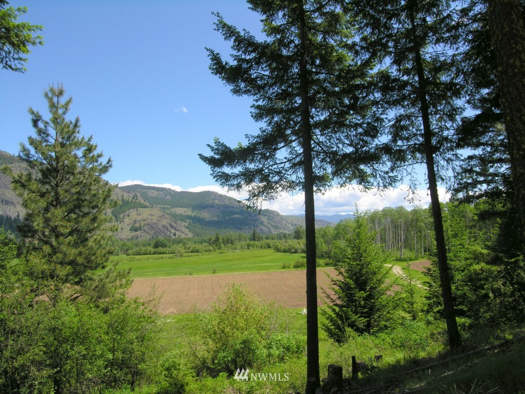 3 Mckinney Mountain Road Winthrop, WA 98862 - Photo 3 of 8 Gallery Image 3