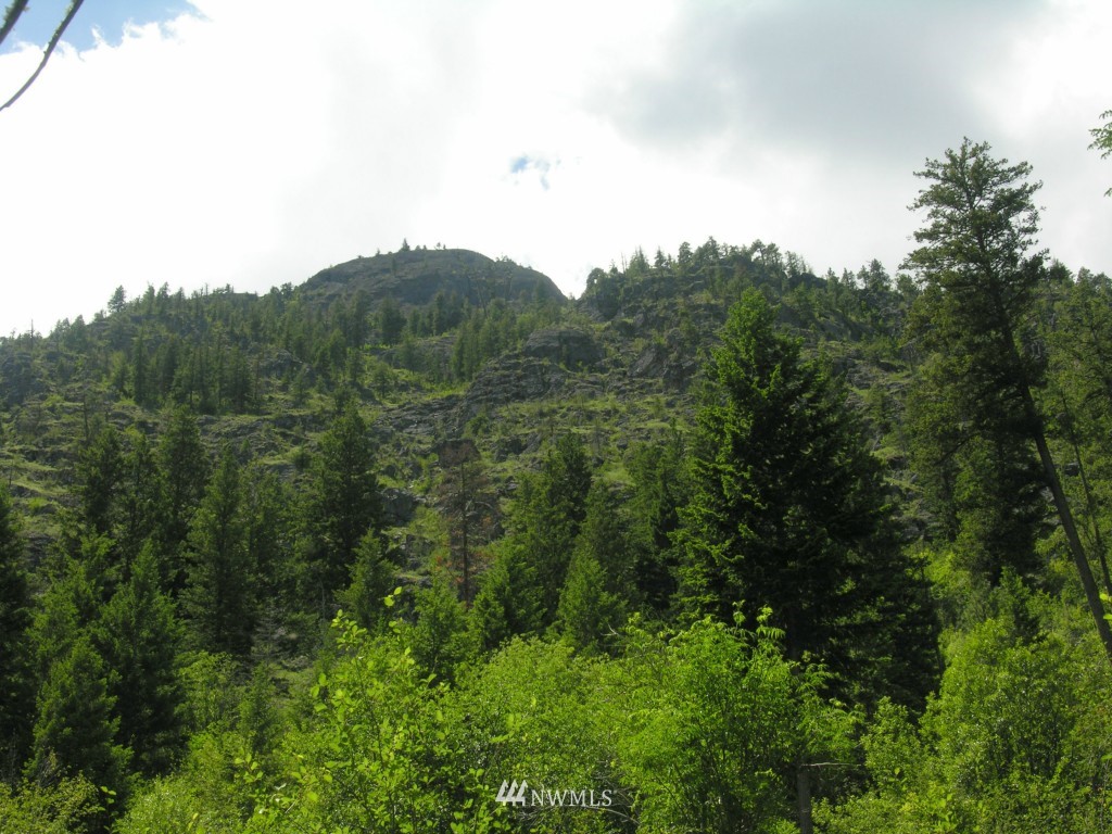 3 Mckinney Mountain Road Winthrop, WA 98862 - Photo 6 of 8 Gallery Image 6