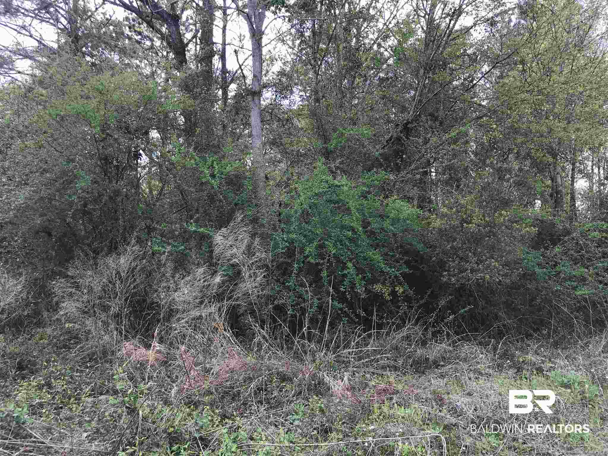0 County Road 39 Stapleton, AL 36578 - Photo 6 of 18 Gallery Image 6
