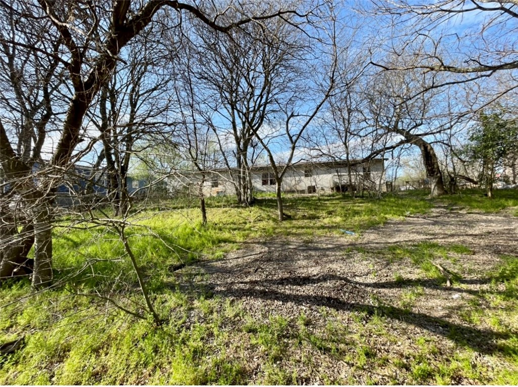 a backyard of a house with a yard and large tree