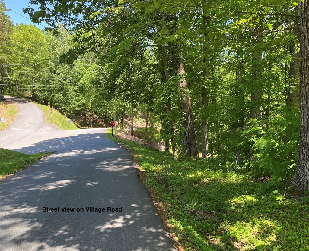 Tbd Village Road Murphy, NC 28906 - Photo 16 of 21