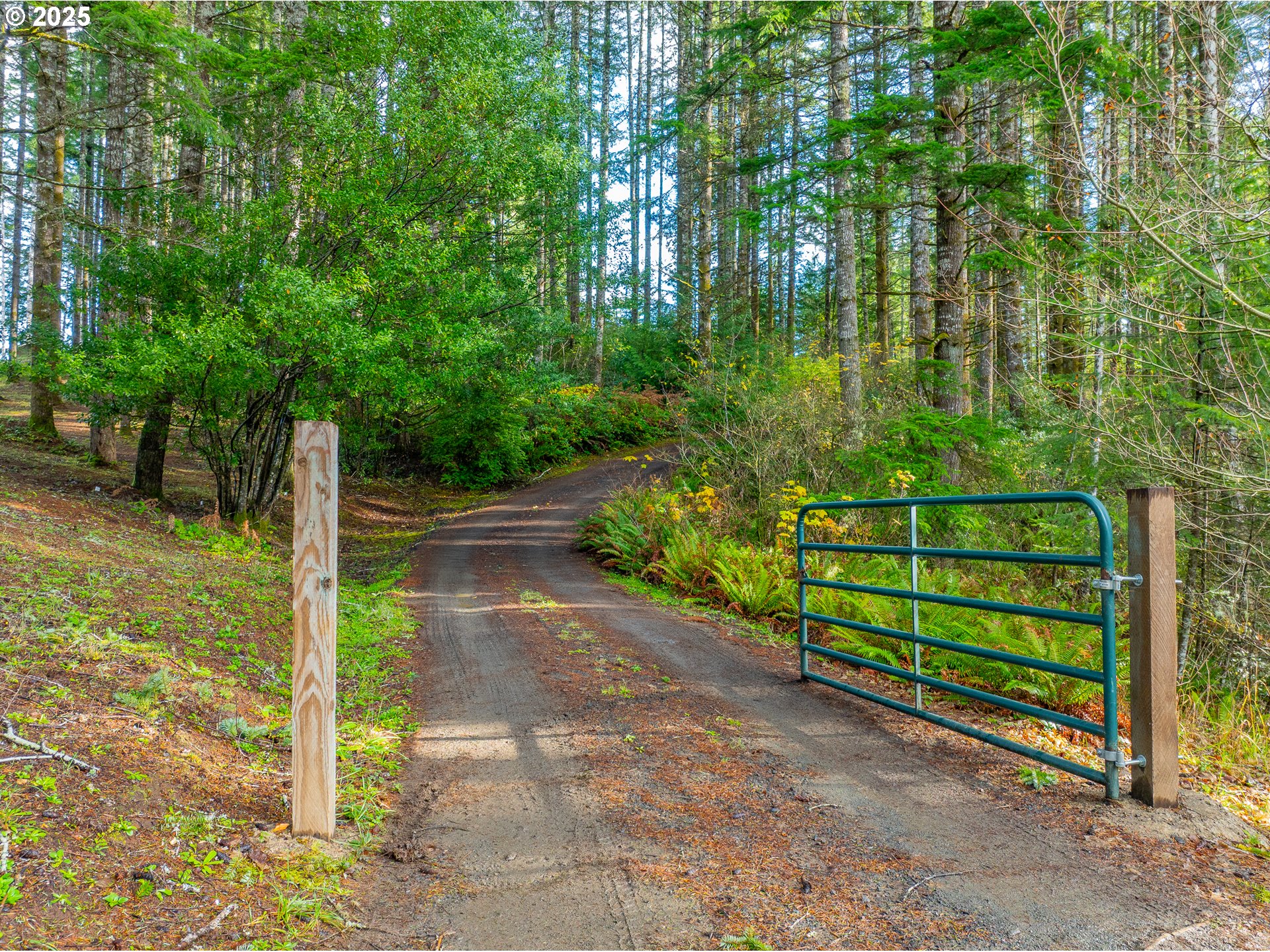 57247 Fairview Road Coquille, OR 97423 - Photo 8 of 45