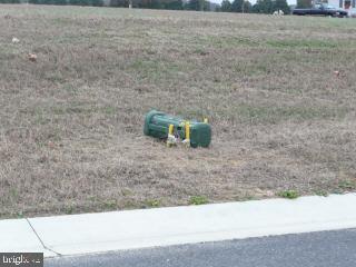 Lot 15 Bitler Way Hebron, MD 21830 - Photo 1 of 1 a picture of a dry yard