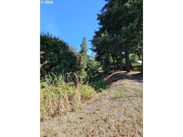 a backyard of a house with a tree