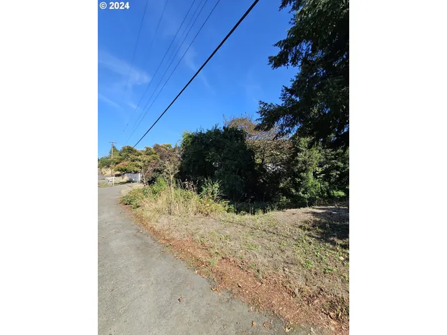 a view of a yard with a tree