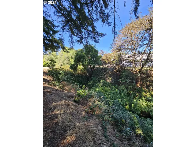 a backyard of a house