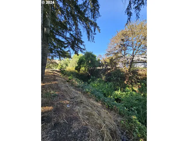 a view of a yard with plants and a tree