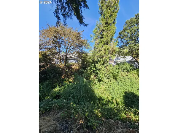 a view of a garden