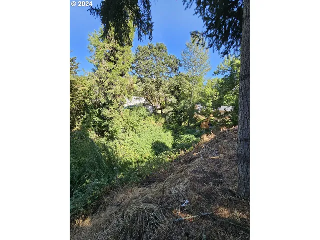 a close up of a plant in a garden