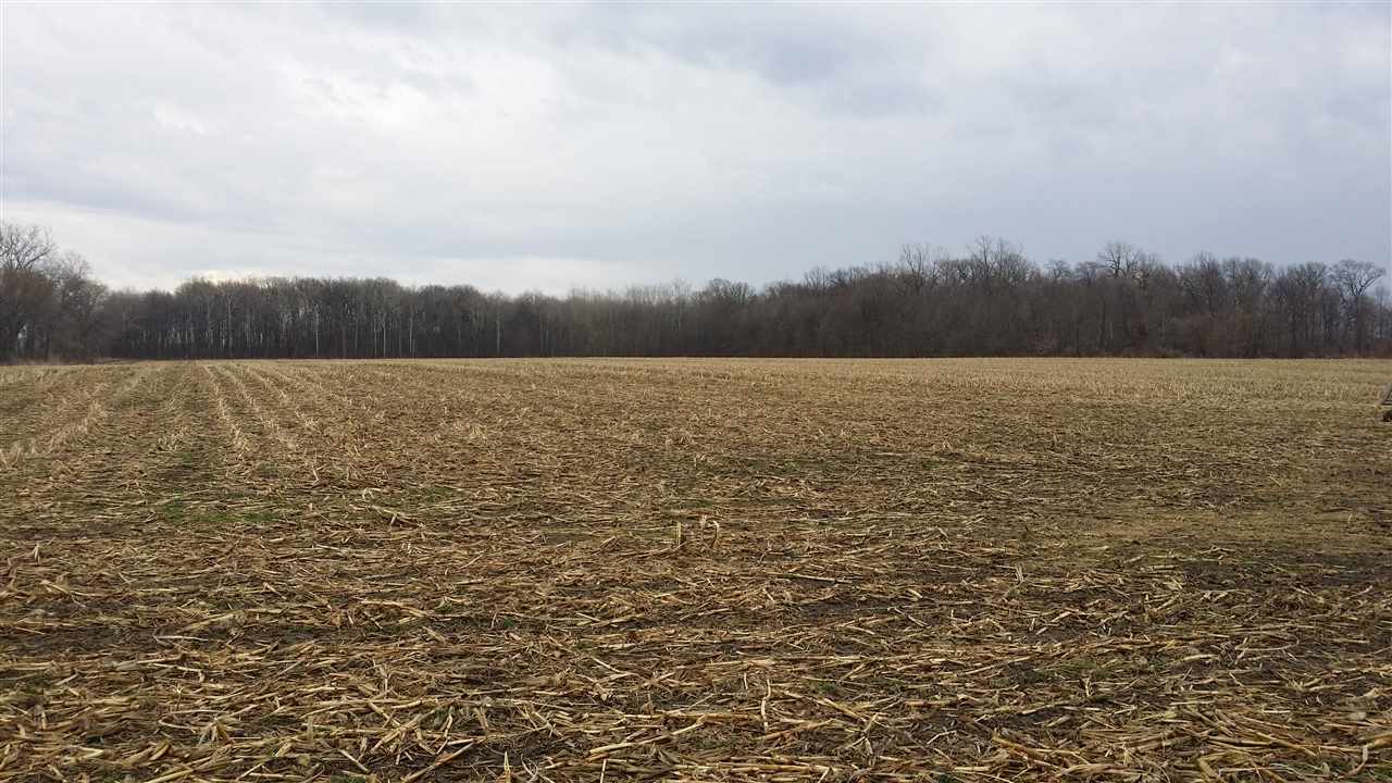 69650 Sycamore Road Walkerton, IN 46574 - Photo 4 of 6