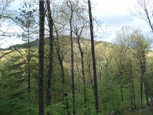 Lot 53 Rice Hill Road Freedom, NH 03836 - Photo 1 of 15