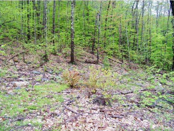 Lot 53 Rice Hill Road Freedom, NH 03836 - Photo 3 of 15