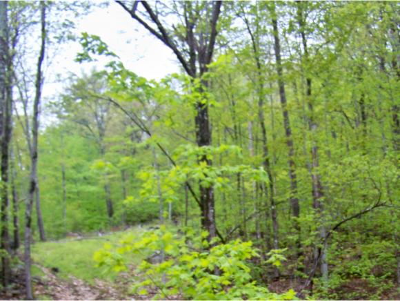 Lot 53 Rice Hill Road Freedom, NH 03836 - Photo 4 of 15