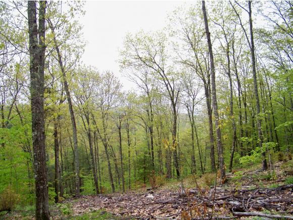 Lot 53 Rice Hill Road Freedom, NH 03836 - Photo 5 of 15