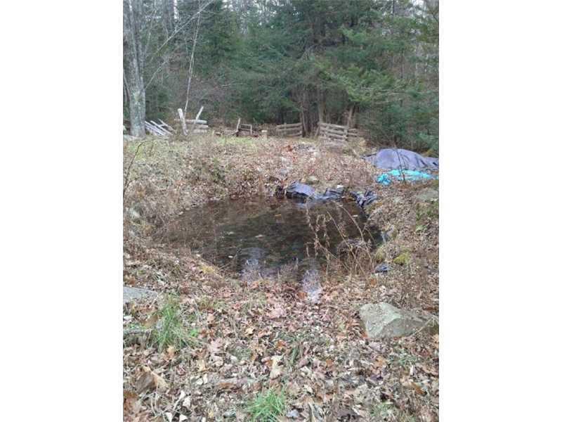 161 Page Road Jackson, ME 04921 - Photo 5 of 9 Other. Garden Pond