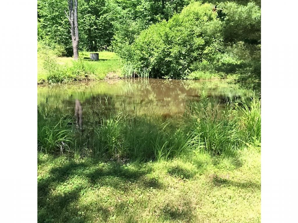 159 Rochester Road Northwood, NH 03261 - Photo 30 of 33