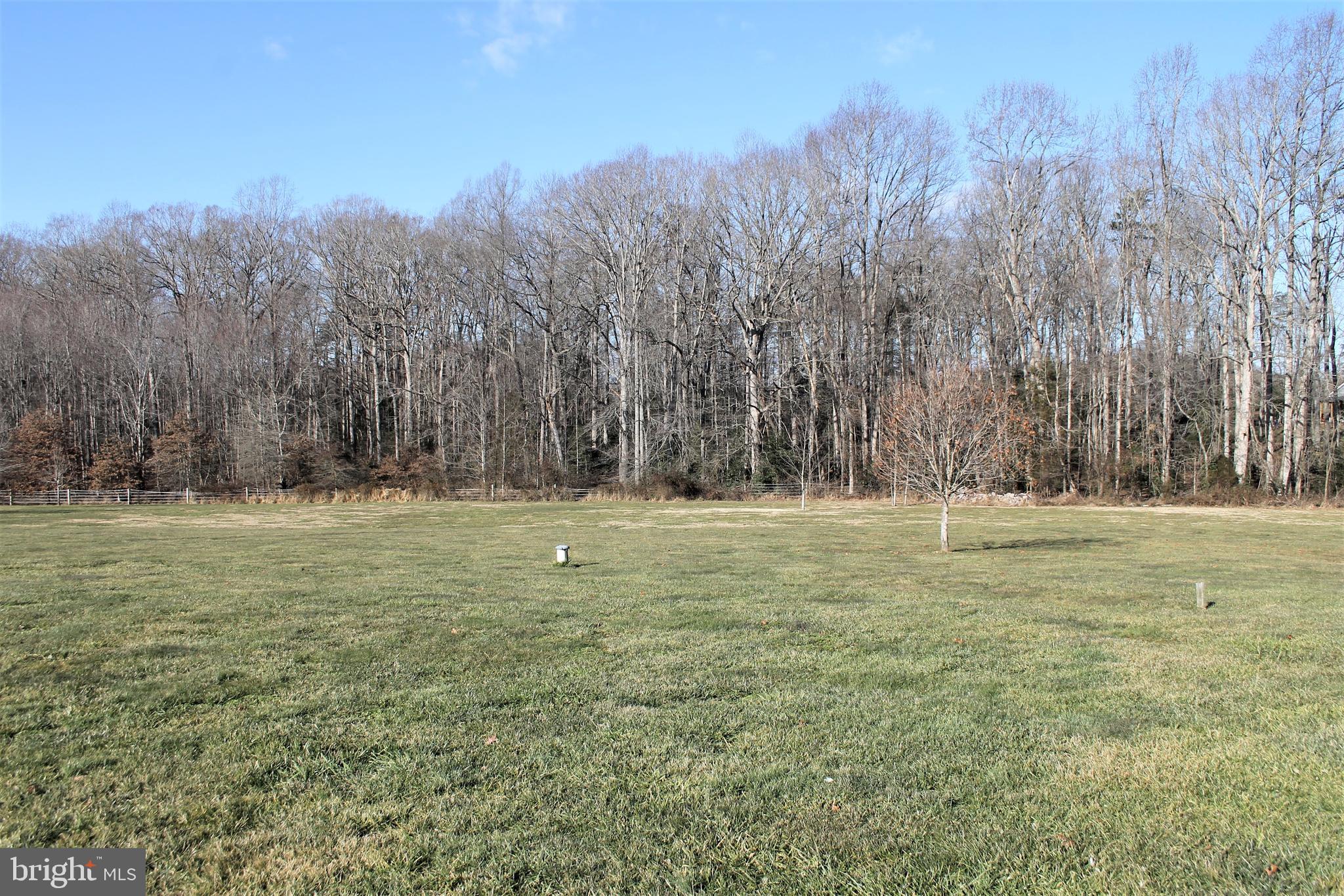 13544 Union Church Road Sumerduck, VA 22742 - Photo 35 of 36 Rear Yard
