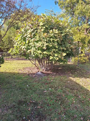 a view of yard with outdoor space
