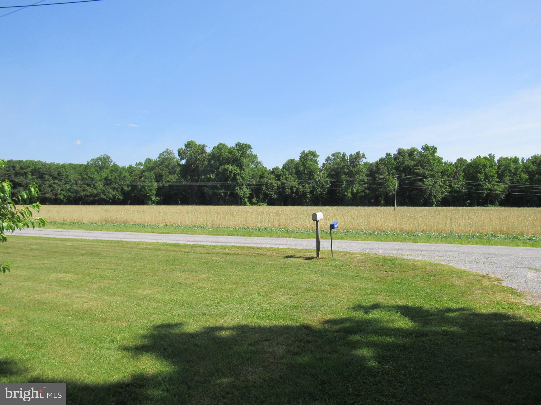 14038 Wootten Road Laurel, DE 19956 - Photo 10 of 23 Gallery Image 10