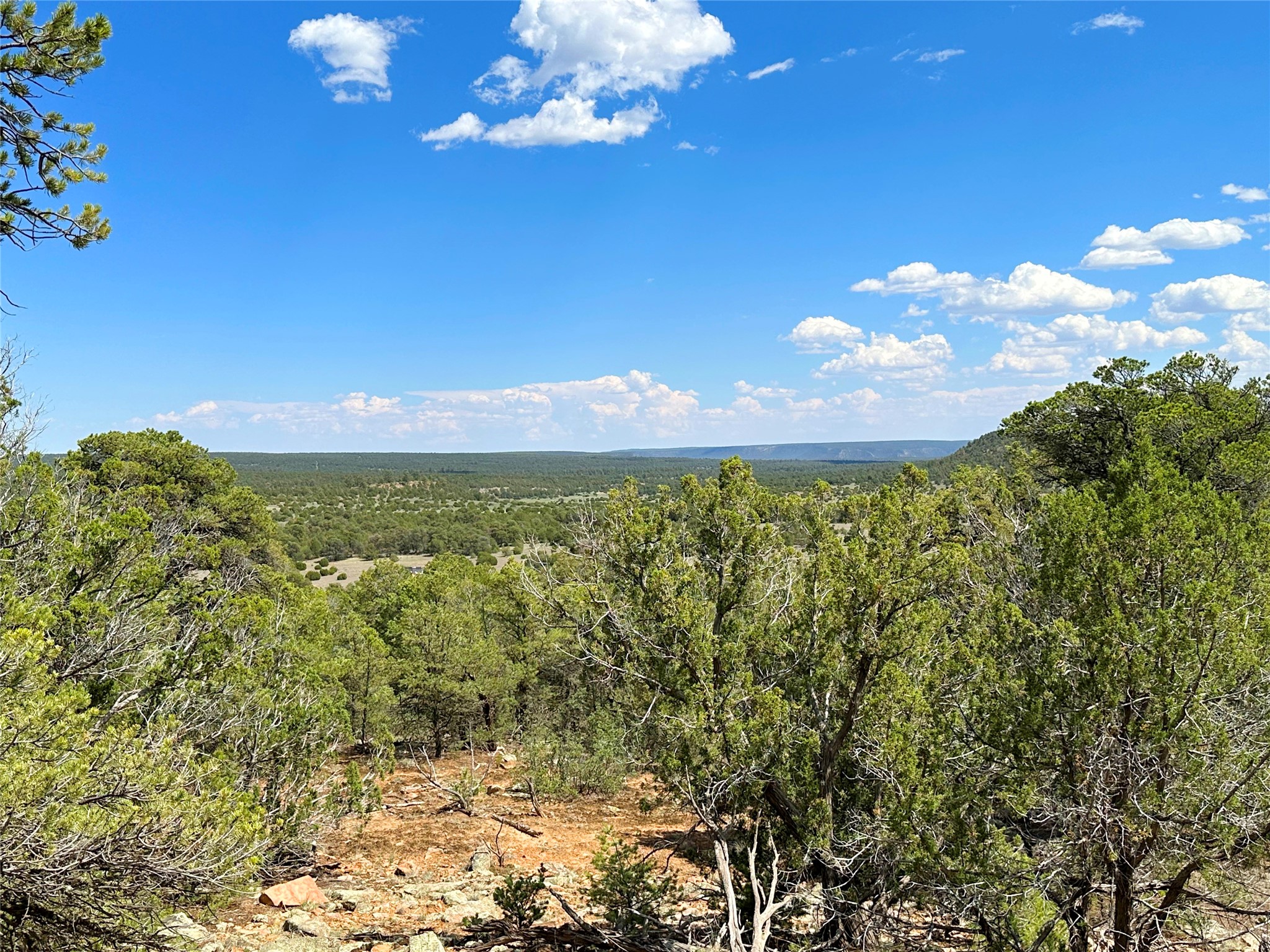Lot 7 Tierra De Dios Ribera, NM 87560 - Photo 10 of 10