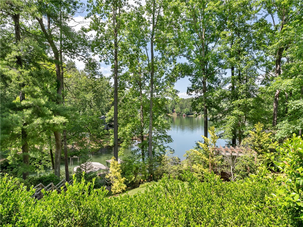 304 Whitewater Lake Road Tamassee, SC 29686 - Photo 15 of 36 Gallery Image 15