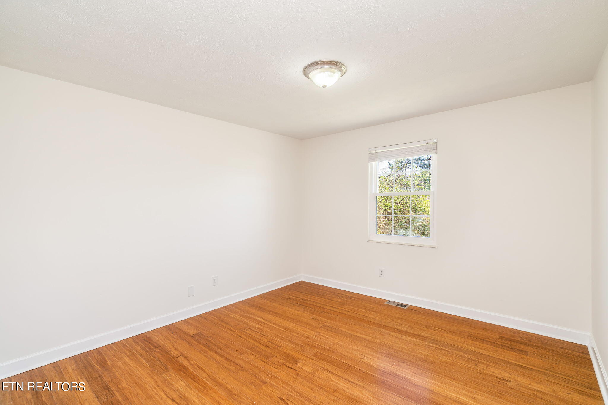 7013 Wright Road Knoxville, TN 37931 - Photo 6 of 23 21-web-or-mls-7013 Wright Road-22