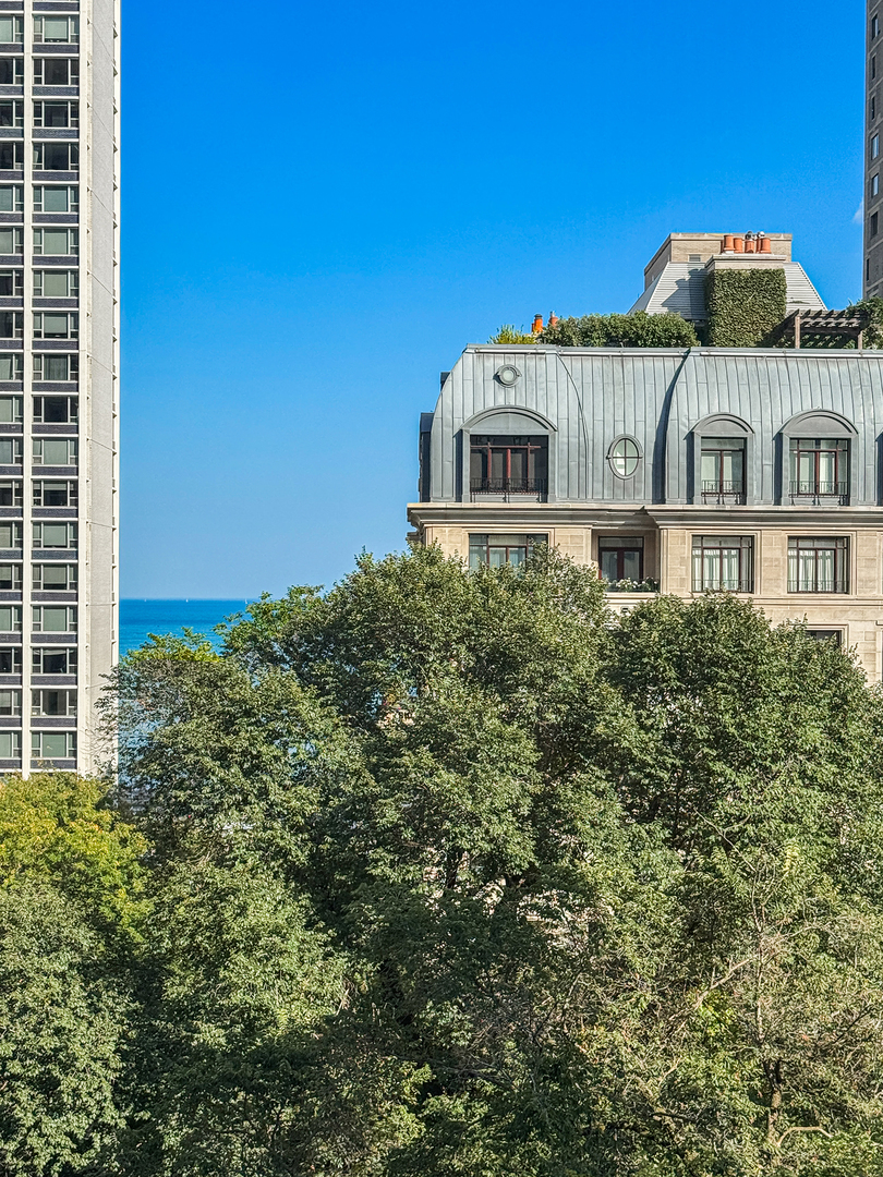 1260 North Astor Street, Unit 7 Chicago, IL 60610 - Photo 9 of 56
