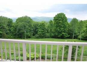 1310 Dorset Hill Road Dorset, VT 05253 - Photo 19 of 21